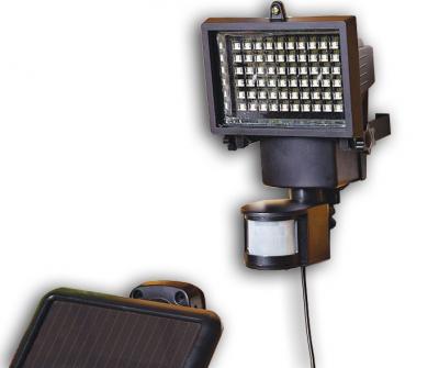 Solar Motion Sensor Light