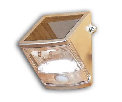 Solar Motion Sensor Light