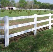Horse  Fence